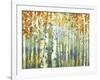 Abstract Birch Trees Warm-Marietta Cohen Art and Design-Framed Premium Giclee Print