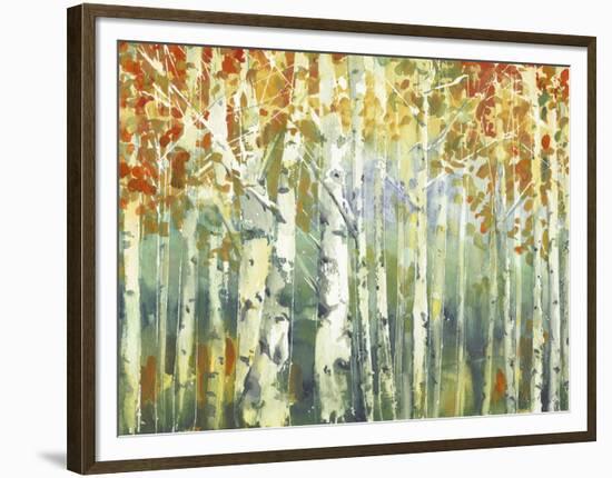 Abstract Birch Trees Warm-Marietta Cohen Art and Design-Framed Premium Giclee Print