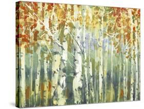Abstract Birch Trees Warm-Marietta Cohen Art and Design-Stretched Canvas