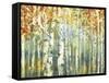 Abstract Birch Trees Warm-Marietta Cohen Art and Design-Framed Stretched Canvas