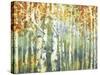 Abstract Birch Trees Warm-Marietta Cohen Art and Design-Stretched Canvas