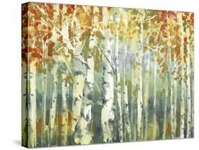 Abstract Birch Trees Warm-Marietta Cohen Art and Design-Stretched Canvas