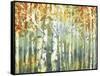 Abstract Birch Trees Warm-Marietta Cohen Art and Design-Framed Stretched Canvas