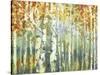 Abstract Birch Trees Warm-Marietta Cohen Art and Design-Stretched Canvas