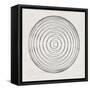 Abstract Black Circular Lines-Eline Isaksen-Framed Stretched Canvas