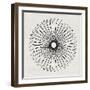 Abstract Black Geometric Flower-Eline Isaksen-Framed Art Print