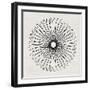 Abstract Black Geometric Flower-Eline Isaksen-Framed Art Print