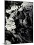 Abstract Black Ink Painting On Grunge Paper Texture-run4it-Mounted Art Print