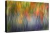 Abstract Blur of Garden Colors, Canada-Jaynes Gallery-Stretched Canvas