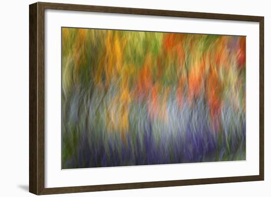 Abstract Blur of Garden Colors, Canada-Jaynes Gallery-Framed Photographic Print