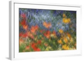 Abstract Blur of Garden Colors, Canada-Jaynes Gallery-Framed Photographic Print