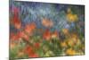 Abstract Blur of Garden Colors, Canada-Jaynes Gallery-Mounted Photographic Print