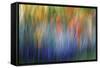 Abstract Blur of Garden Colors, Canada-Jaynes Gallery-Framed Stretched Canvas