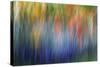 Abstract Blur of Garden Colors, Canada-Jaynes Gallery-Stretched Canvas