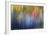 Abstract Blur of Garden Colors, Canada-Jaynes Gallery-Framed Photographic Print