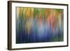 Abstract Blur of Garden Colors, Canada-Jaynes Gallery-Framed Photographic Print