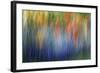 Abstract Blur of Garden Colors, Canada-Jaynes Gallery-Framed Photographic Print