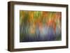 Abstract Blur of Garden Colors, Canada-Jaynes Gallery-Framed Photographic Print