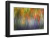 Abstract Blur of Garden Colors, Canada-Jaynes Gallery-Framed Photographic Print