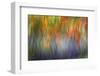 Abstract Blur of Garden Colors, Canada-Jaynes Gallery-Framed Photographic Print