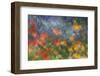 Abstract Blur of Garden Colors, Canada-Jaynes Gallery-Framed Photographic Print