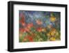 Abstract Blur of Garden Colors, Canada-Jaynes Gallery-Framed Photographic Print