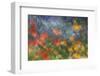 Abstract Blur of Garden Colors, Canada-Jaynes Gallery-Framed Photographic Print