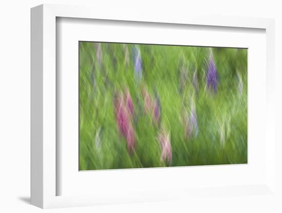 Abstract Blur of Garden Colors, Canada-Jaynes Gallery-Framed Photographic Print