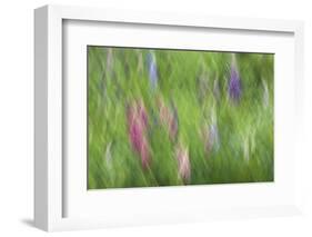 Abstract Blur of Garden Colors, Canada-Jaynes Gallery-Framed Photographic Print