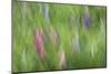 Abstract Blur of Garden Colors, Canada-Jaynes Gallery-Mounted Photographic Print