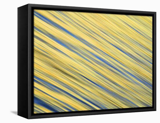 Abstract Blur of Pacific Ocean Water at Dawn, La Jolla, California, USA-Arthur Morris-Framed Stretched Canvas