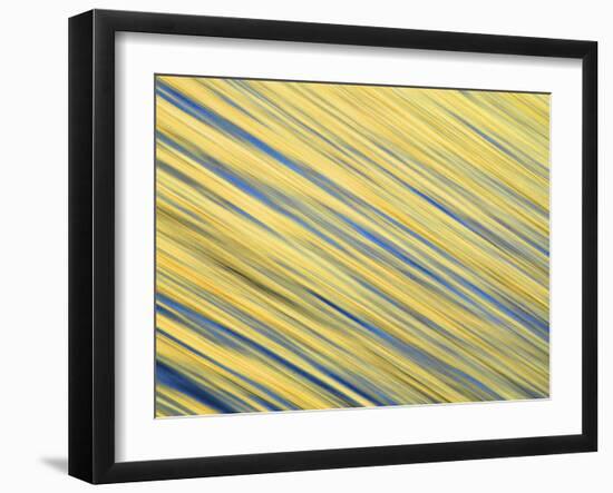 Abstract Blur of Pacific Ocean Water at Dawn, La Jolla, California, USA-Arthur Morris-Framed Photographic Print