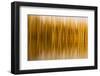 Abstract, Blur of Trees and Reflections in Water-Rona Schwarz-Framed Photographic Print