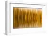 Abstract, Blur of Trees and Reflections in Water-Rona Schwarz-Framed Photographic Print