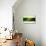 Abstract Brown and Green-NaxArt-Mounted Art Print displayed on a wall