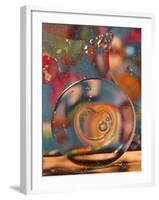 Abstract Bubbles and Colors, Savannah, Georgia, USA-Joanne Wells-Framed Photographic Print