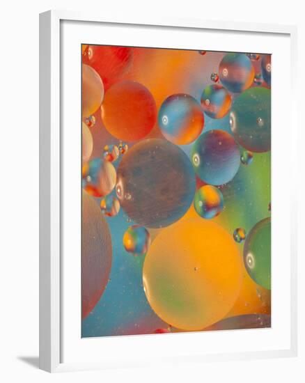 Abstract Bubbles and Colors, Savannah, Georgia, USA-Joanne Wells-Framed Photographic Print