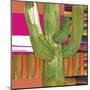 Abstract Cactus-Robbin Rawlings-Mounted Art Print