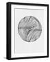 Abstract Circle Pattern I-Eline Isaksen-Framed Art Print