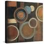 Abstract Circles I-Kimberly Poloson-Stretched Canvas