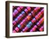 Abstract close-up of butterfly wing scales-Andy Sands-Framed Photographic Print