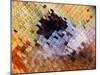 Abstract close-up of butterfly wing scales-Andy Sands-Mounted Photographic Print