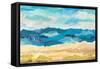 Abstract Coastal I-Courtney Prahl-Framed Stretched Canvas