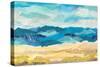 Abstract Coastal I-Courtney Prahl-Stretched Canvas