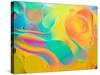 Abstract Colorful Background, Oil Drops on Water-Abstract Oil Work-Stretched Canvas