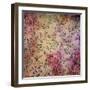 Abstract Colorful Background or Paper with Flower-Theme Grunge Texture-iulias-Framed Art Print