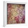 Abstract Colorful Background or Paper with Flower-Theme Grunge Texture-iulias-Framed Art Print