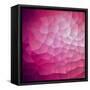 Abstract Colorful Geometric Background-Click Bestsellers-Framed Stretched Canvas