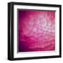 Abstract Colorful Geometric Background-Click Bestsellers-Framed Art Print