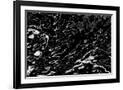 Gramercy Black